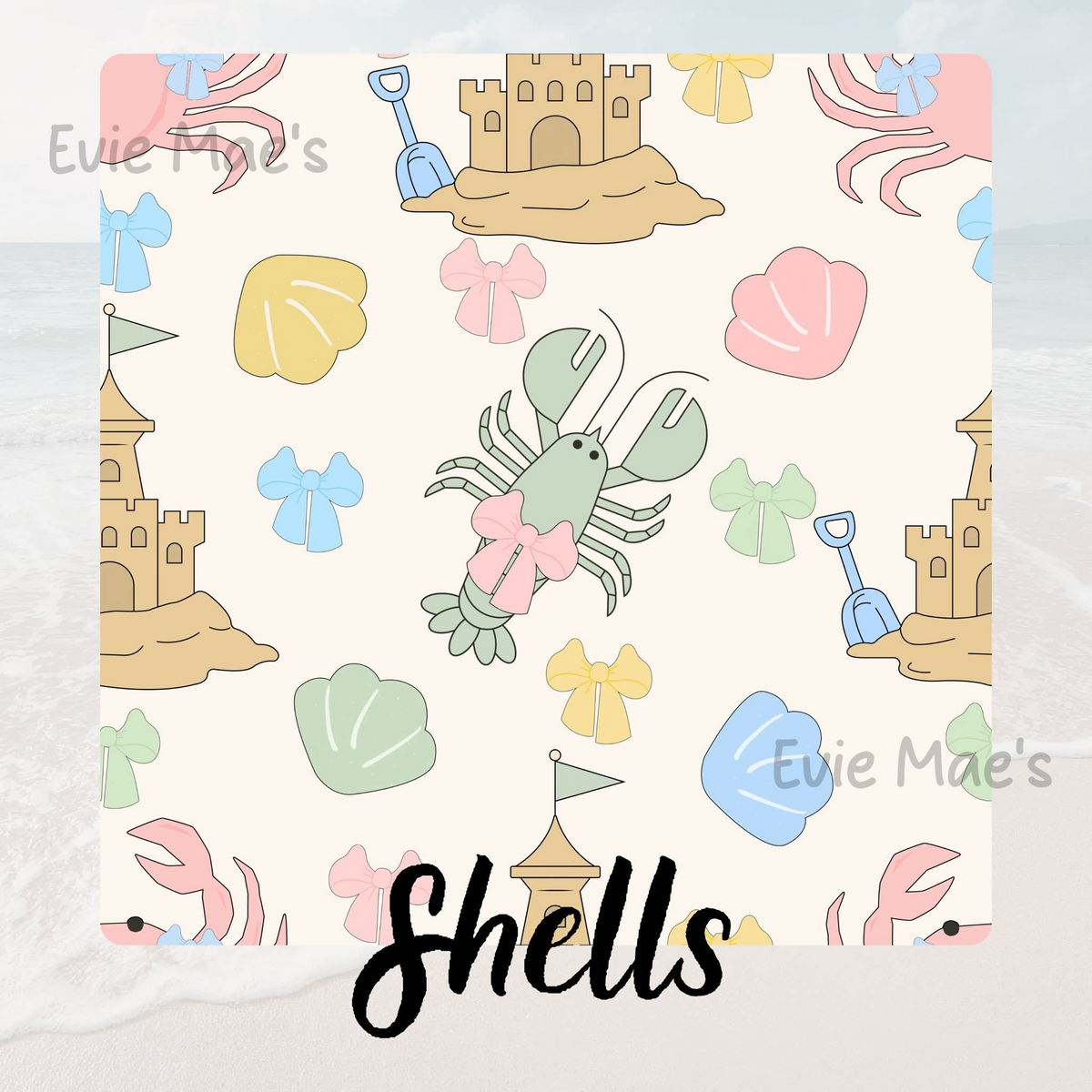Shells | Coastal Cuties